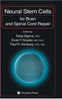 Neural Stem Cells for Brain and Spinal Cord Repair