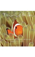 Treasures of the Sea Calendar