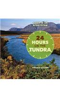 24 Hours on the Tundra