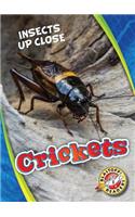 Crickets