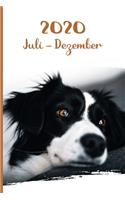 Kalender 2020: Border Collie Hunde Tageskalender 2. Halbjahr Juli Dezember ca DIN A5 weiß über 190 Seiten