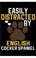 Easily Distracted by English Cocker Spaniel