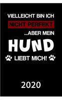 Hund 2020