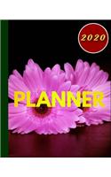 2020 Planner: Best Weekly and Monthly planner Jan 1, 2020 2021 to Dec 31, 2020 2021 - Include Weekly & Monthly Planner + Calendar and 100 plank pages to write.