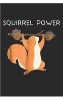 Squirrel Power