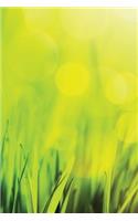 In the Grass Notebook