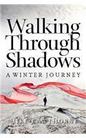Walking Through Shadows