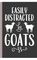 Easily Distracted by Goats