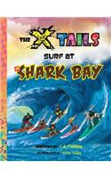 X-tails Surf at Shark Bay