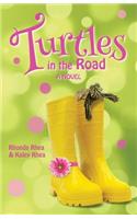 Turtles in the Road