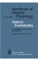 Comparative Physiology and Evolution of Vision in Invertebrates