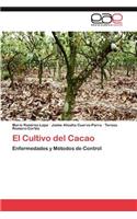 Cultivo del Cacao