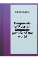 Fragments of Russian language picture of the world
