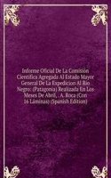 Informe Oficial De La Comision Cientifica Agregada Al Estado Mayor General De La Expedicion Al Rio Negro: (Patagonia) Realizada En Los Meses De Abril, . A. Roca (Con 16 Laminas) (Spanish Edition)