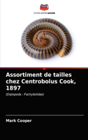 Assortiment de tailles chez Centrobolus Cook, 1897