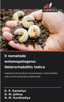 nematode entomopatogeno: Heterorhabditis Indica