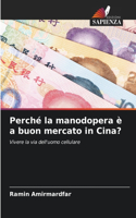 Perché la manodopera è a buon mercato in Cina?