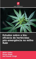 Estudos sobre a bio-eficácia de herbicidas pós-emergência no milho Rabi