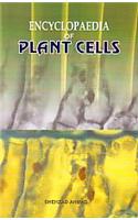  Encyclopaedia Of Plant Cell (Set Of 4 Vols. )