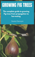 Growing Fig Trees