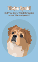 Tibetan Spaniel