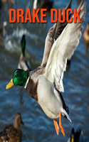 Drake Duck: Amazing Facts about Drake Duck