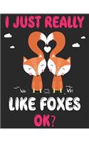 I Just Really Likes Foxes OK ?