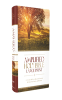 Amplified Bible-Am-Large Print