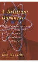 A Brilliant Darkness