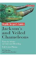 Jackson's and Veiled Chameleons