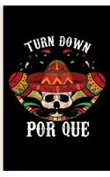 Turn Down Por Que: Cinco De Mayo Fiesta notebooks gift (6x9) Dot Grid notebook