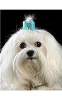 Shih Tzu Notebook