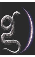 Snake Reptile Notebook