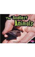 Smallest Animals