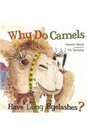 Why Do Camels Have Long Eyelashes?