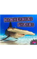 Hammerhead Sharks