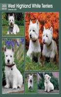 WEST HIGHLAND WHITE TERRIERS 365 DAYS SQ