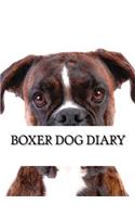 Boxer Dog Diary