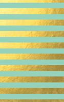 Mint Green Gold Stripes Notebook