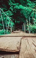 An Old Wooden Foot Bridge in Oregon: Blank 150 Page Lined Journal for Your Thoughts, Ideas, and Inspiration(English)