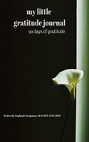 my little gratitude journal: 90 days of gratitude