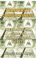 Prosperity Consciousness: A Metaphysical Guide to Your Natural Wealth