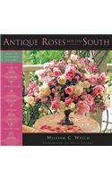 Antique Roses for the South