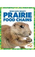 Prairie Food Chains