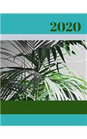 2020