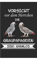 Vorsicht vor dem Herrchen die Graupapageien sind Harmlos: Notizbuch A5 Kariert Lustig Geschenk mit Spruch Papagei Graupapagei Sittich Vögel Haustier