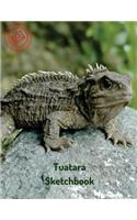 Tuatara Sketchbook: (Sketchbooks for Drawing)