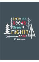 From Tiny Seeds Grow Mighty PT Assistant