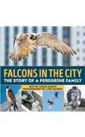 Falcons in the City