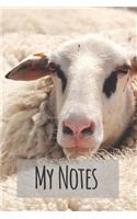 My Notes: The Most Famous Animals from Whole World Notebook, Journal, Note (110 Pages, Blank, 6 X 9)